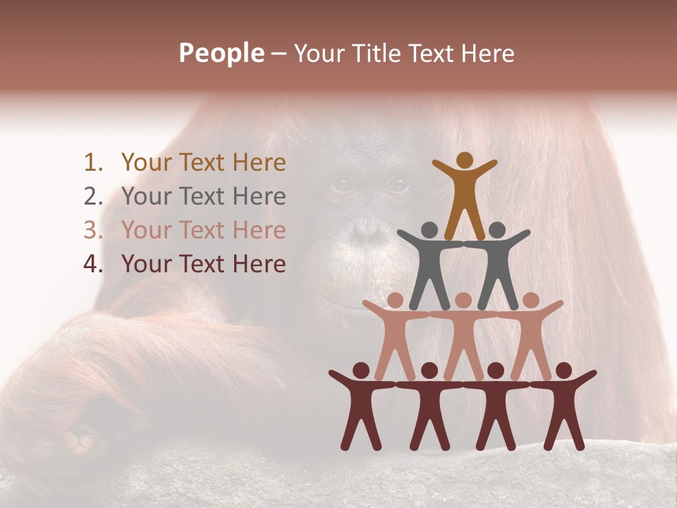 Plant Soil Agriculture PowerPoint Template