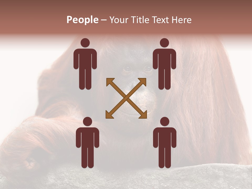 Plant Soil Agriculture PowerPoint Template