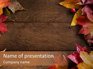 Blank Border Old PowerPoint Template