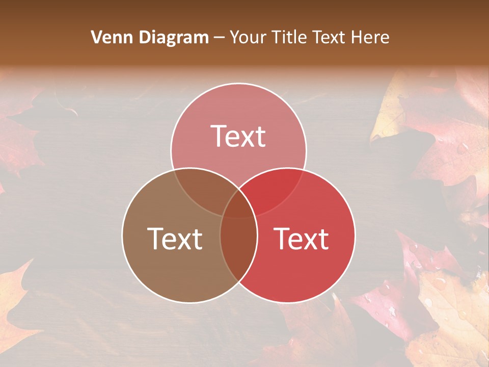 Blank Border Old PowerPoint Template