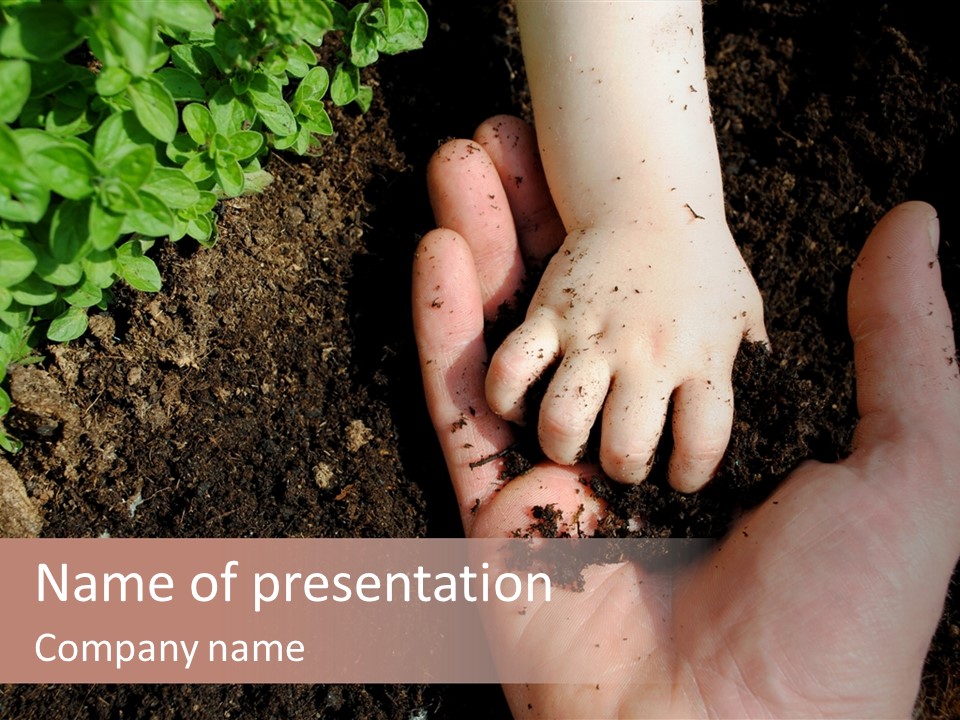Plant Soil Agriculture PowerPoint Template