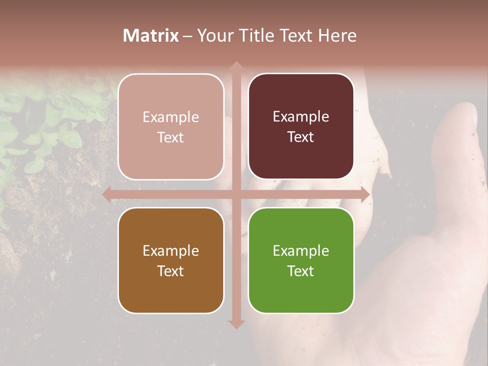 Plant Soil Agriculture PowerPoint Template