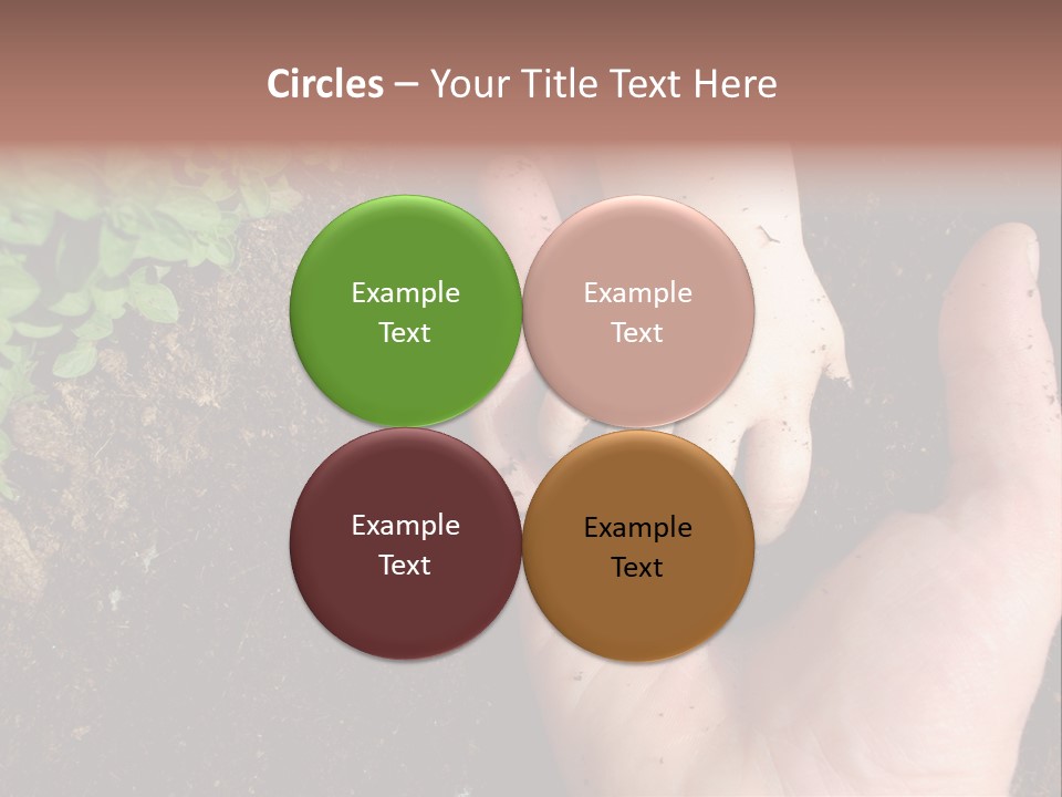 Plant Soil Agriculture PowerPoint Template