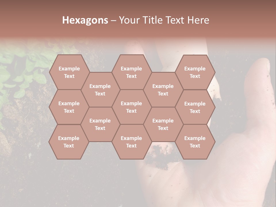 Plant Soil Agriculture PowerPoint Template
