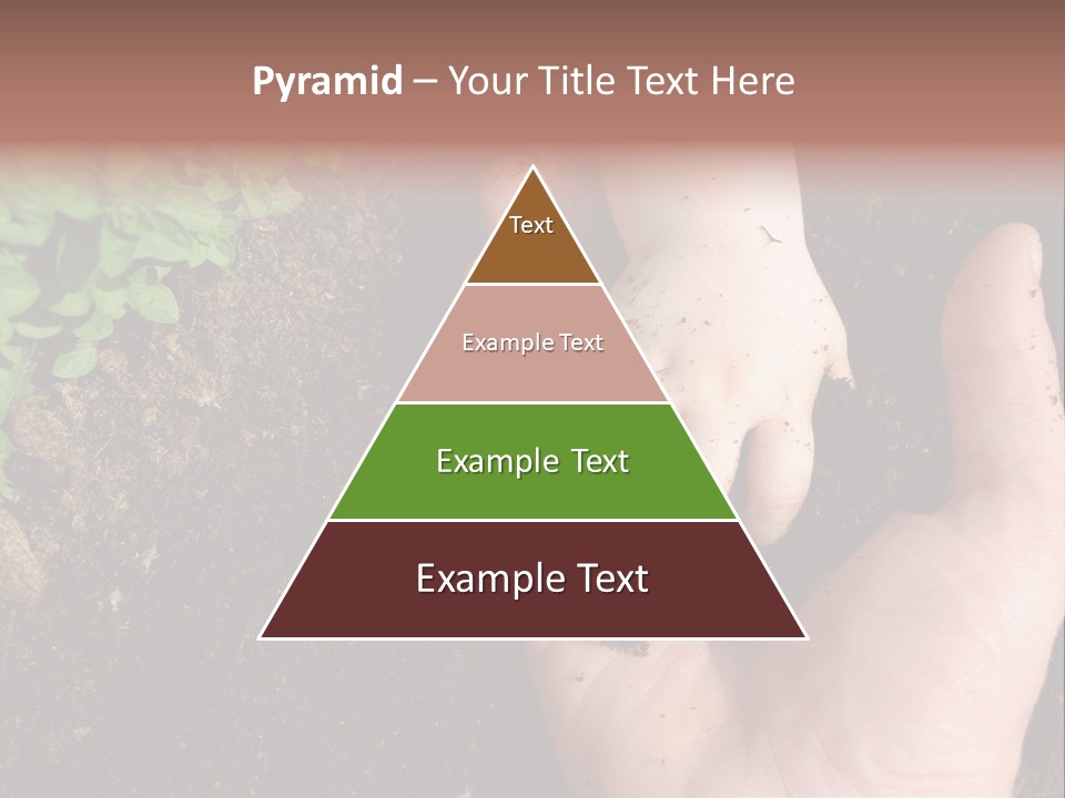 Plant Soil Agriculture PowerPoint Template