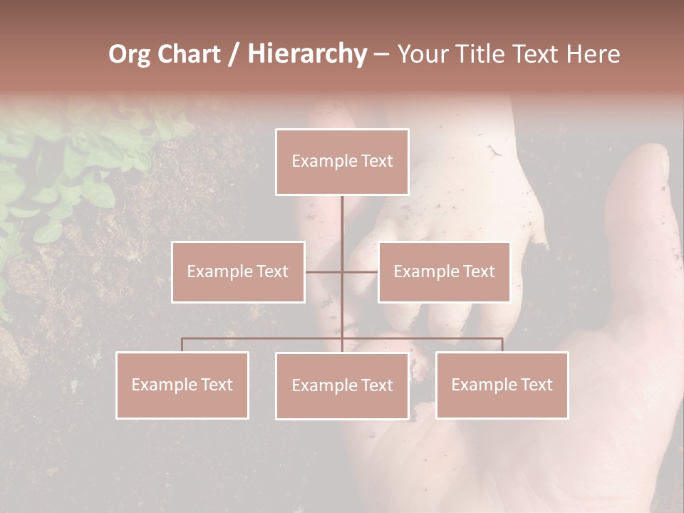Plant Soil Agriculture PowerPoint Template