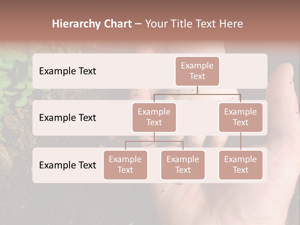 Plant Soil Agriculture PowerPoint Template