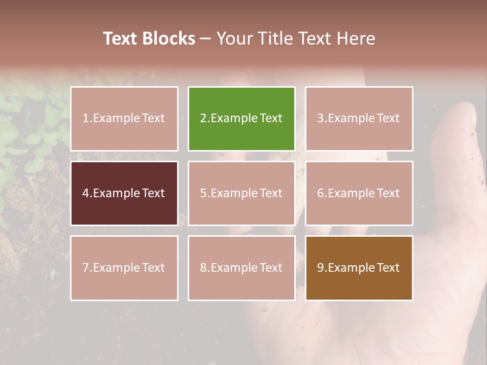 Plant Soil Agriculture PowerPoint Template