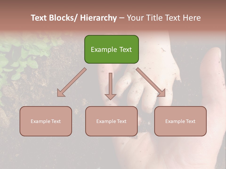 Plant Soil Agriculture PowerPoint Template