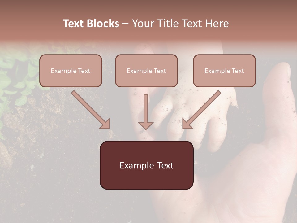 Plant Soil Agriculture PowerPoint Template