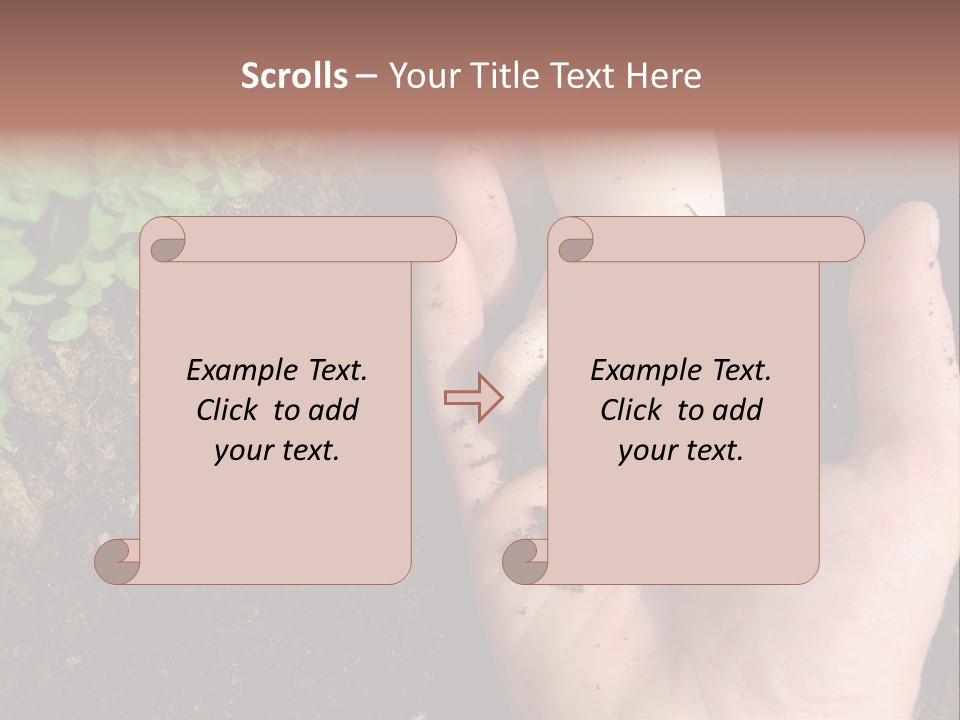 Plant Soil Agriculture PowerPoint Template