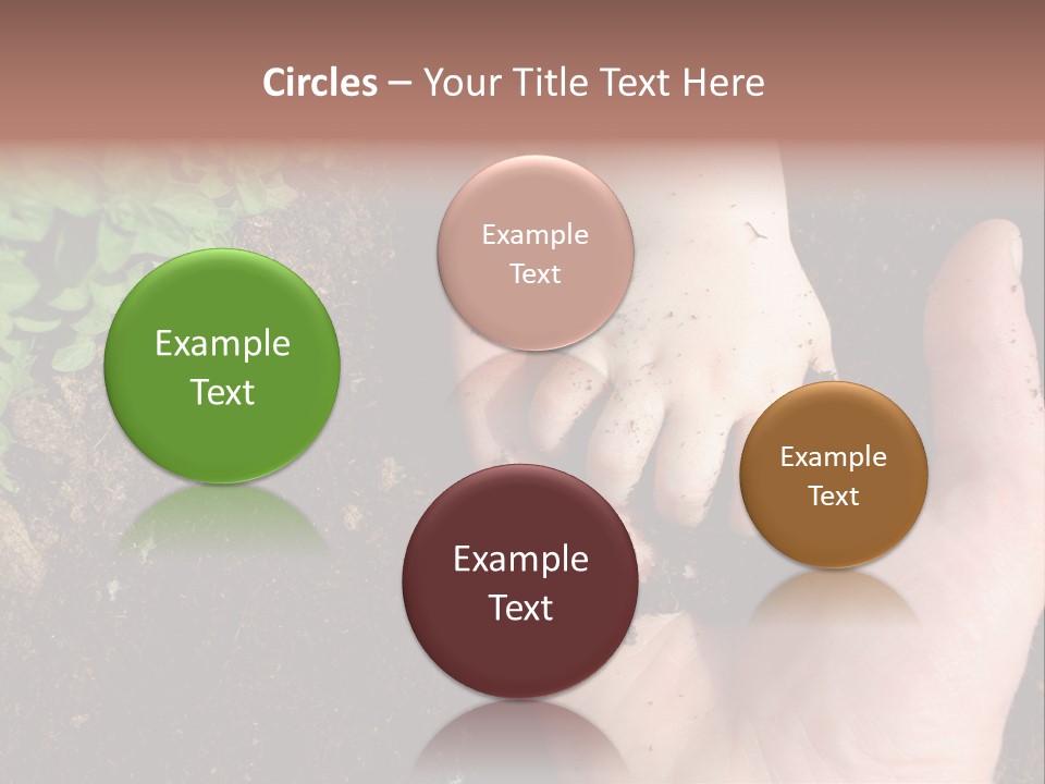 Plant Soil Agriculture PowerPoint Template