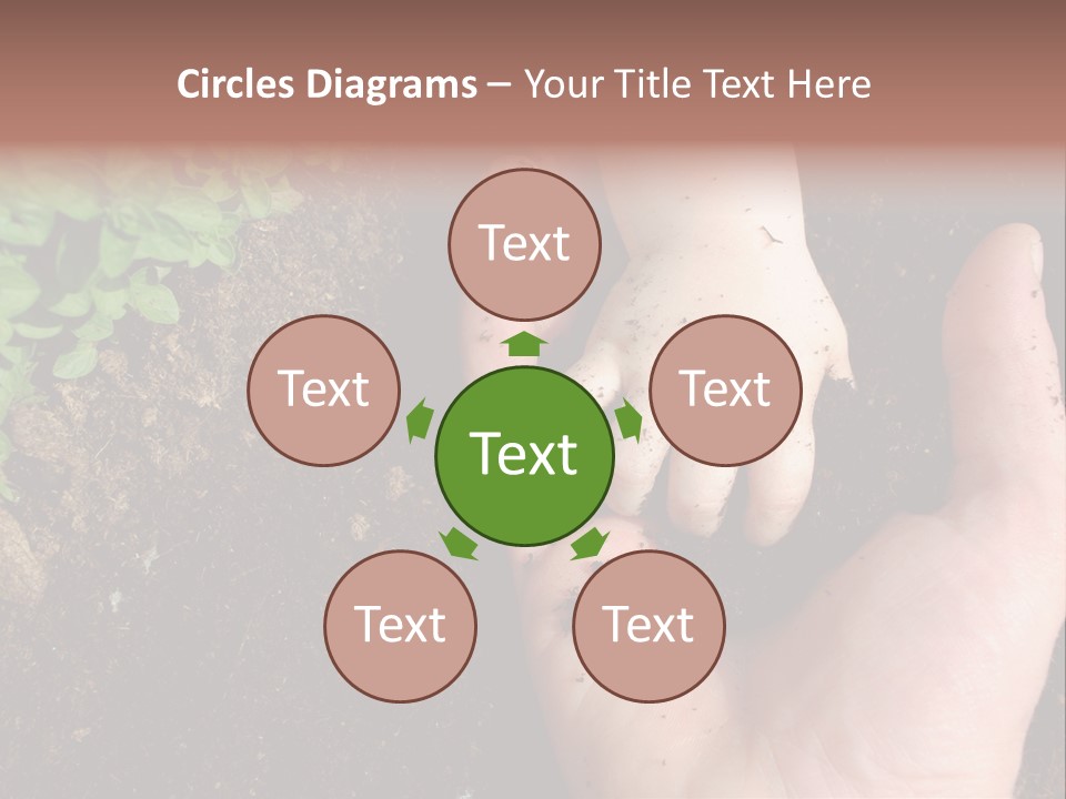 Plant Soil Agriculture PowerPoint Template