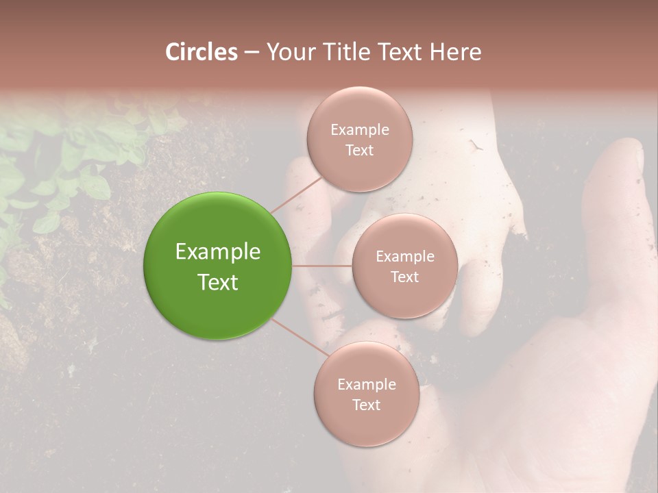 Plant Soil Agriculture PowerPoint Template