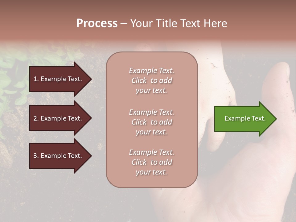 Plant Soil Agriculture PowerPoint Template