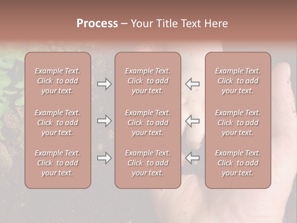 Plant Soil Agriculture PowerPoint Template