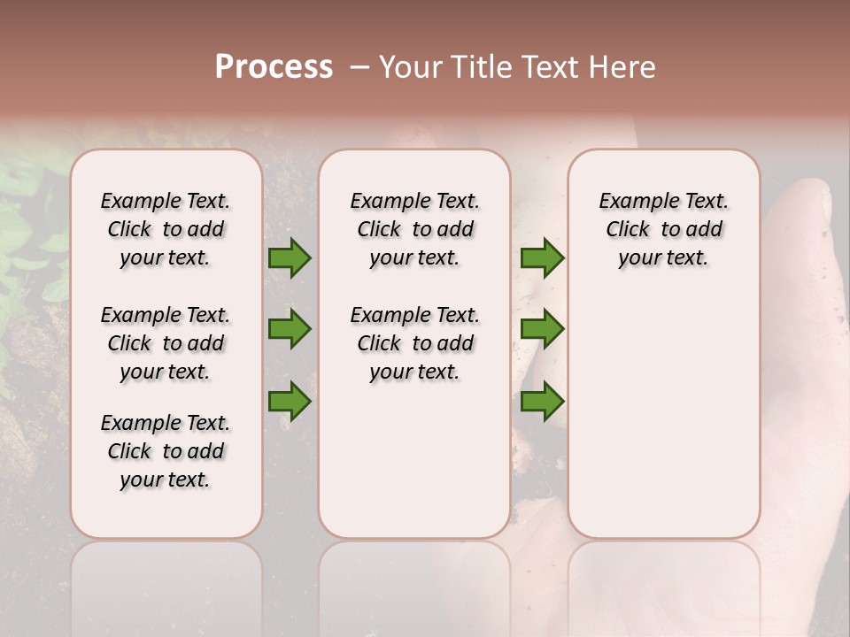 Plant Soil Agriculture PowerPoint Template