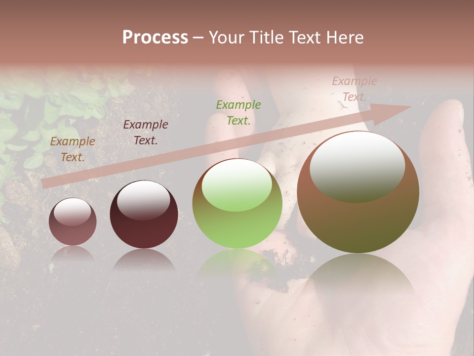 Plant Soil Agriculture PowerPoint Template