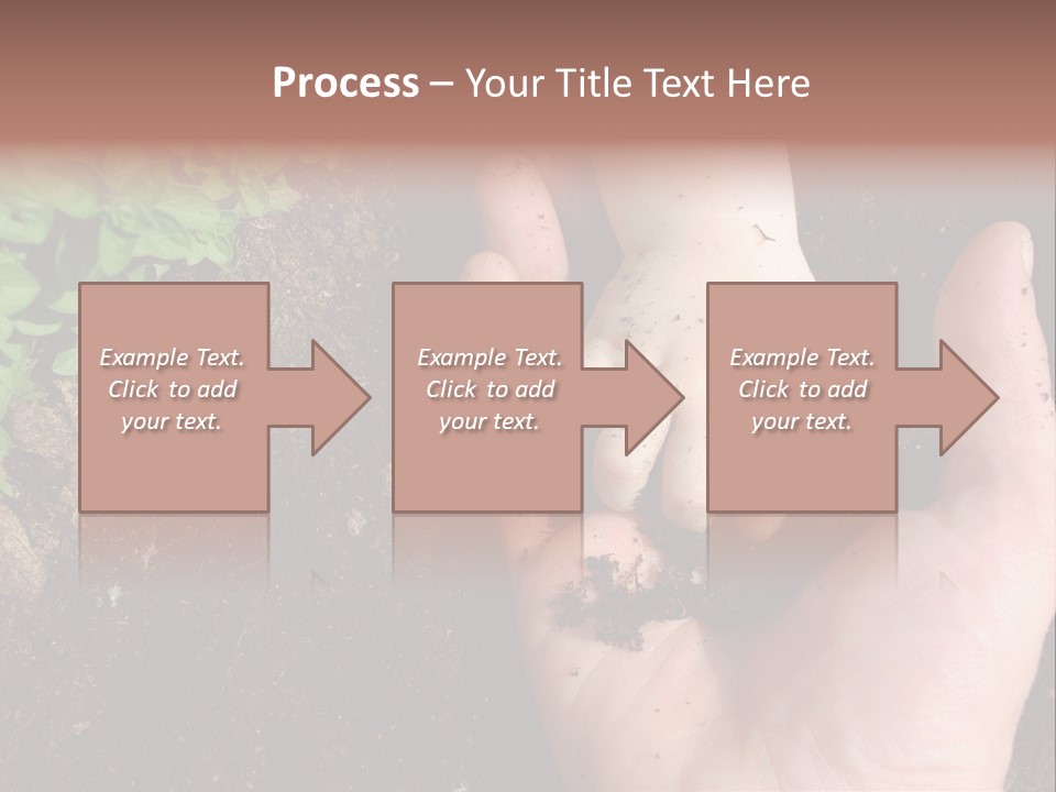 Plant Soil Agriculture PowerPoint Template