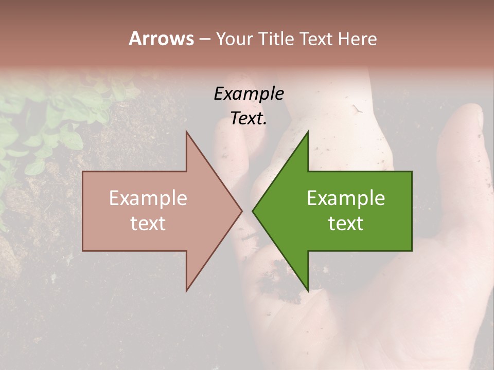 Plant Soil Agriculture PowerPoint Template