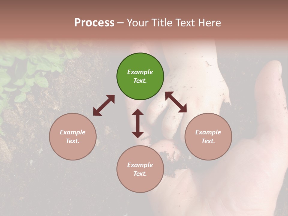 Plant Soil Agriculture PowerPoint Template