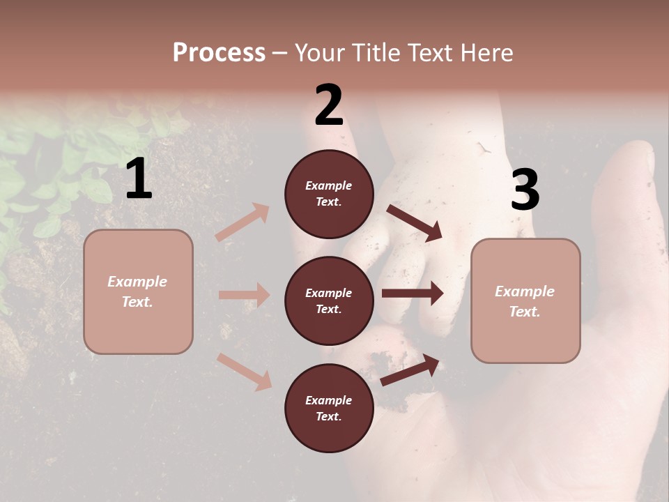 Plant Soil Agriculture PowerPoint Template