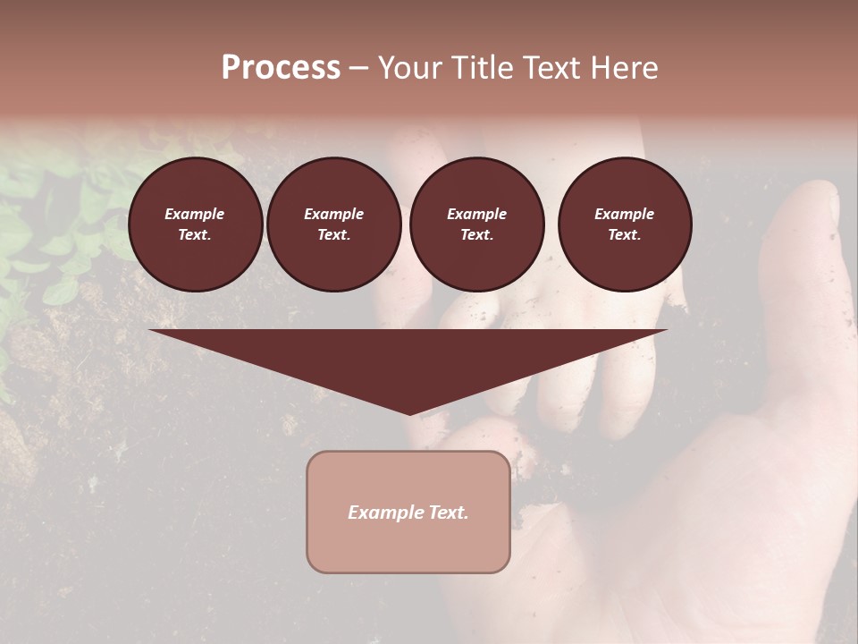 Plant Soil Agriculture PowerPoint Template
