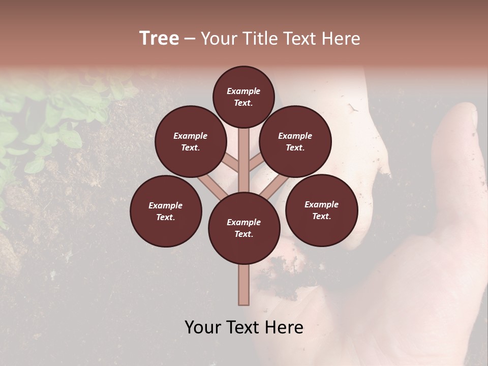 Plant Soil Agriculture PowerPoint Template