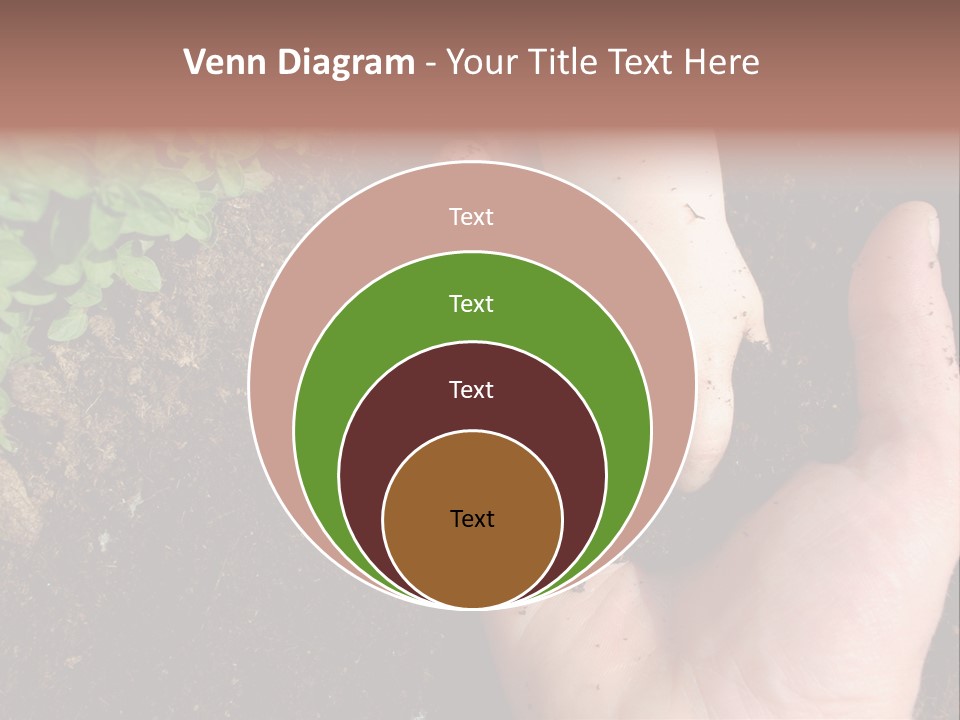Plant Soil Agriculture PowerPoint Template