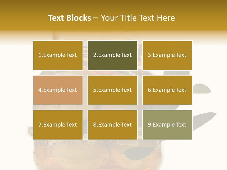 Preserved Seasoning Spice PowerPoint Template