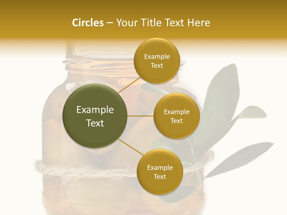 Preserved Seasoning Spice PowerPoint Template