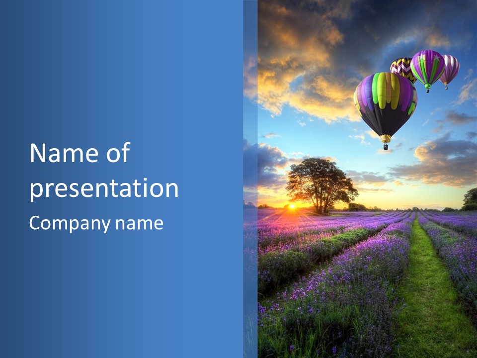 Beautiful Flying Evening PowerPoint Template