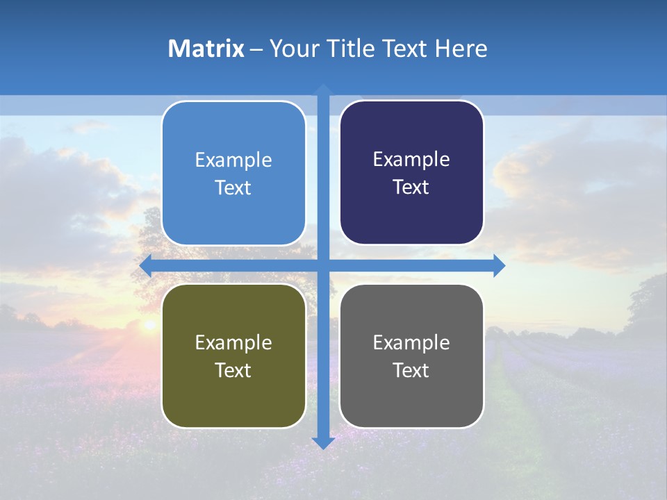 Beautiful Flying Evening PowerPoint Template