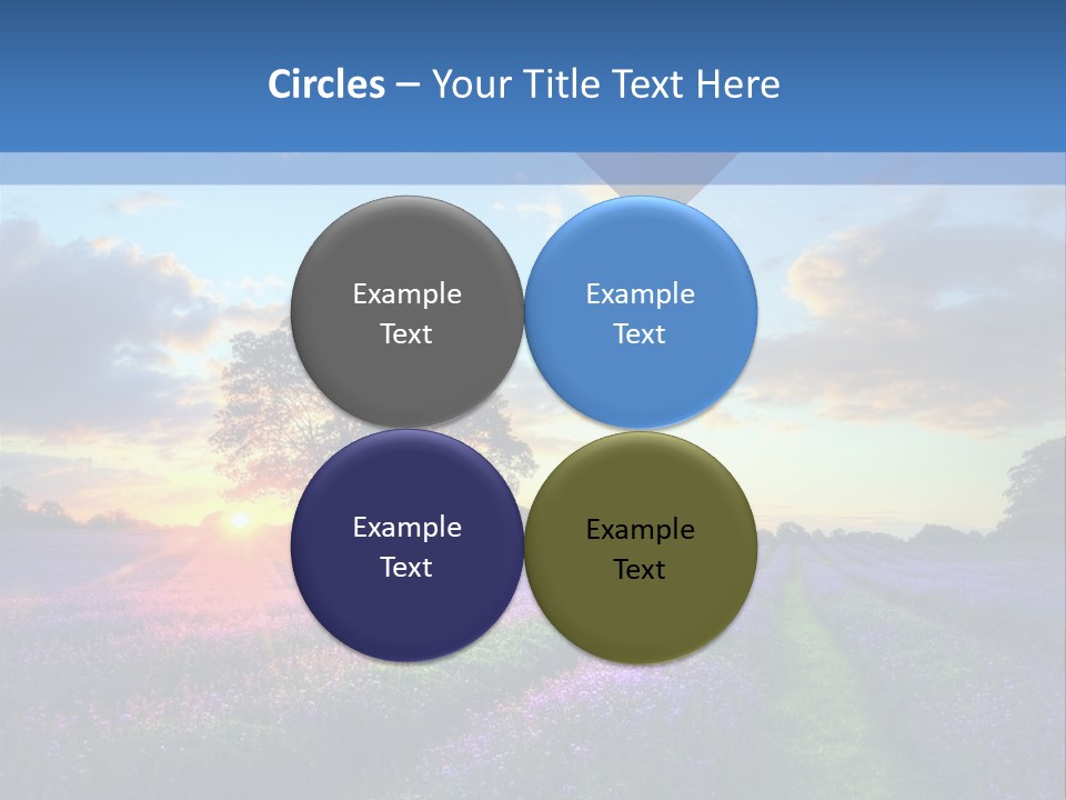 Beautiful Flying Evening PowerPoint Template