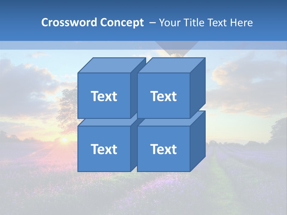 Beautiful Flying Evening PowerPoint Template