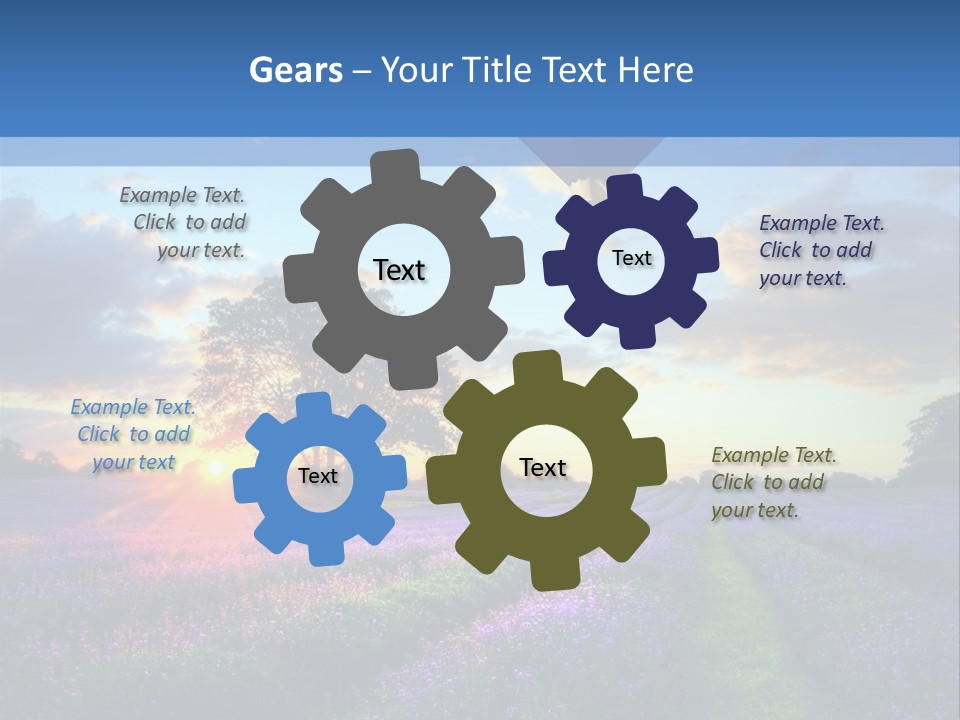 Beautiful Flying Evening PowerPoint Template