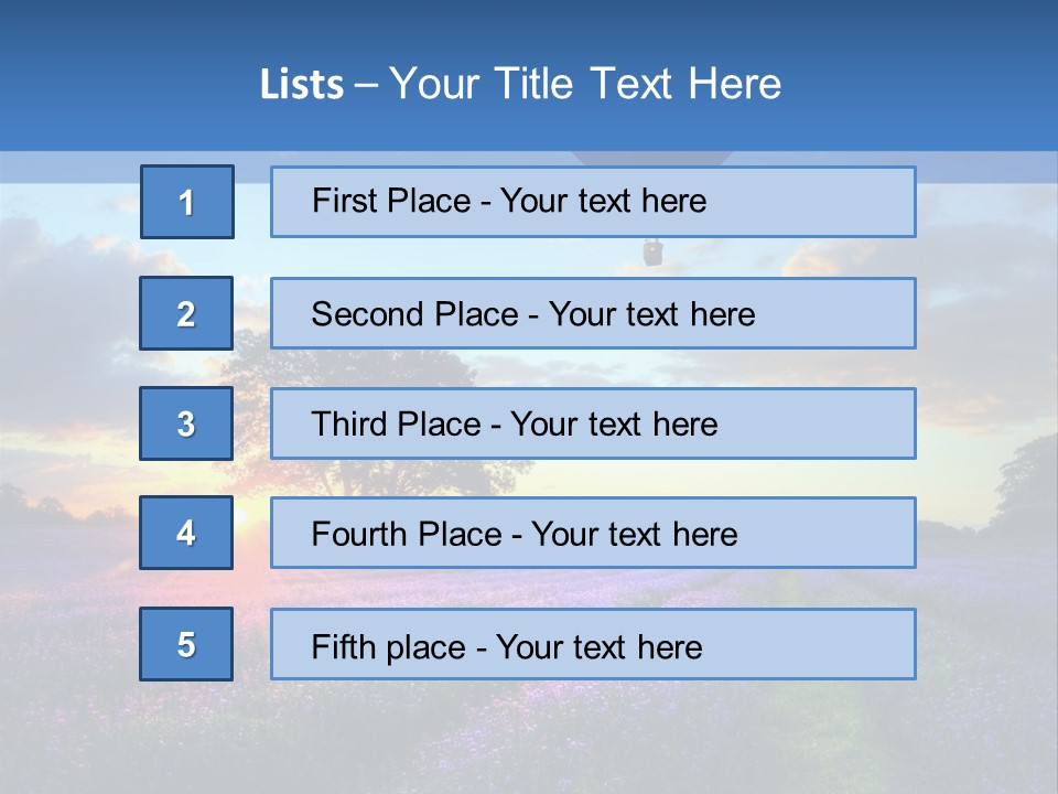 Beautiful Flying Evening PowerPoint Template