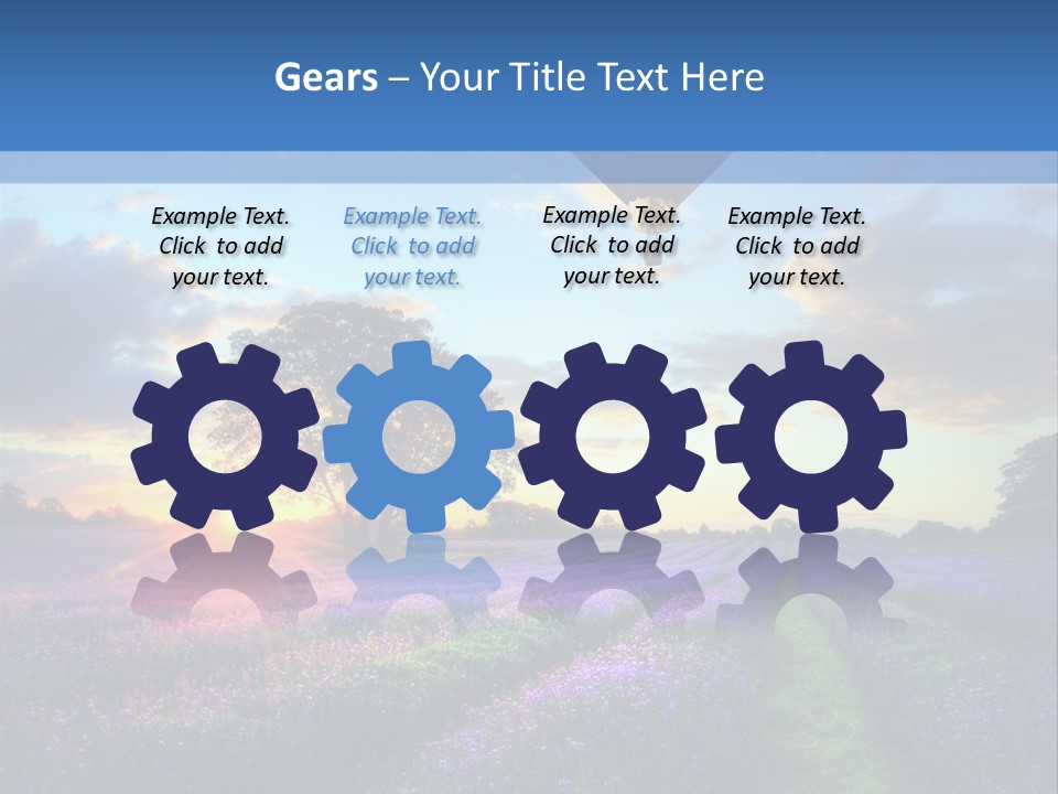 Beautiful Flying Evening PowerPoint Template