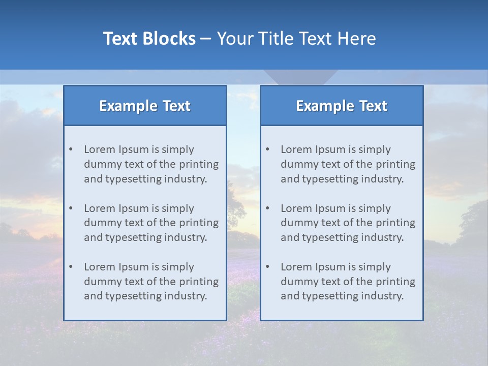 Beautiful Flying Evening PowerPoint Template