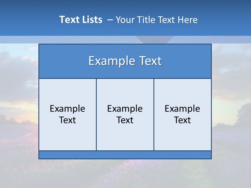 Beautiful Flying Evening PowerPoint Template