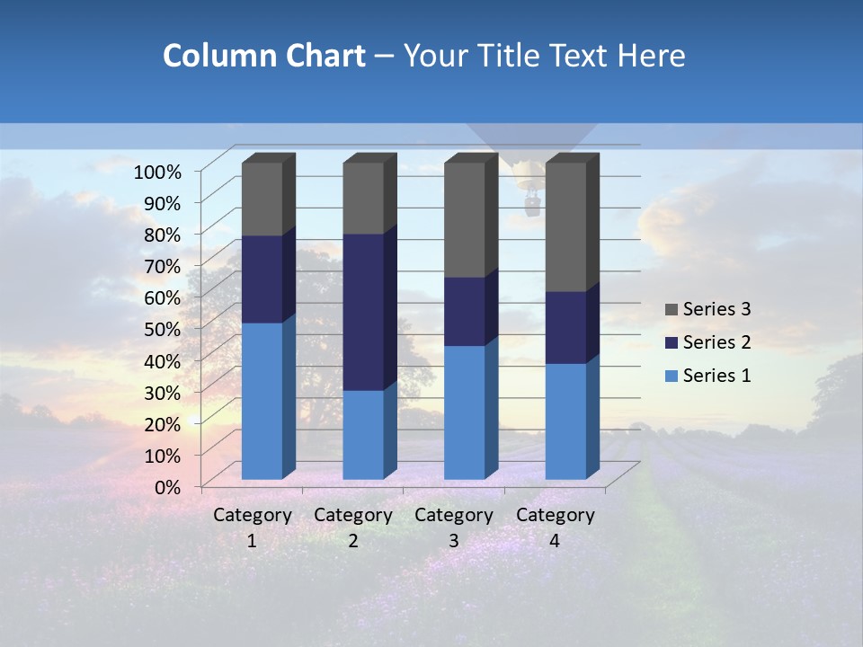 Beautiful Flying Evening PowerPoint Template