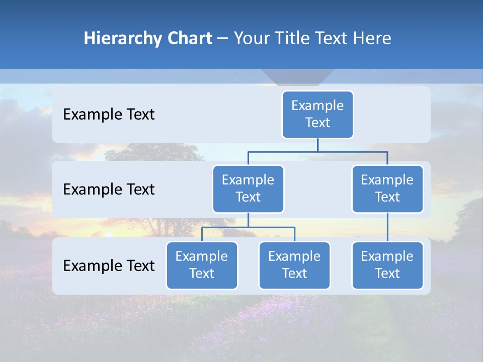 Beautiful Flying Evening PowerPoint Template