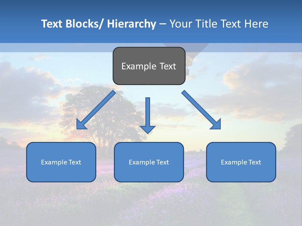 Beautiful Flying Evening PowerPoint Template