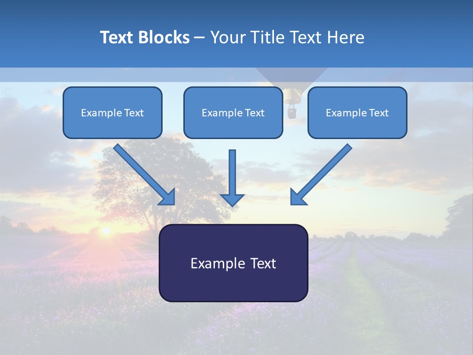 Beautiful Flying Evening PowerPoint Template