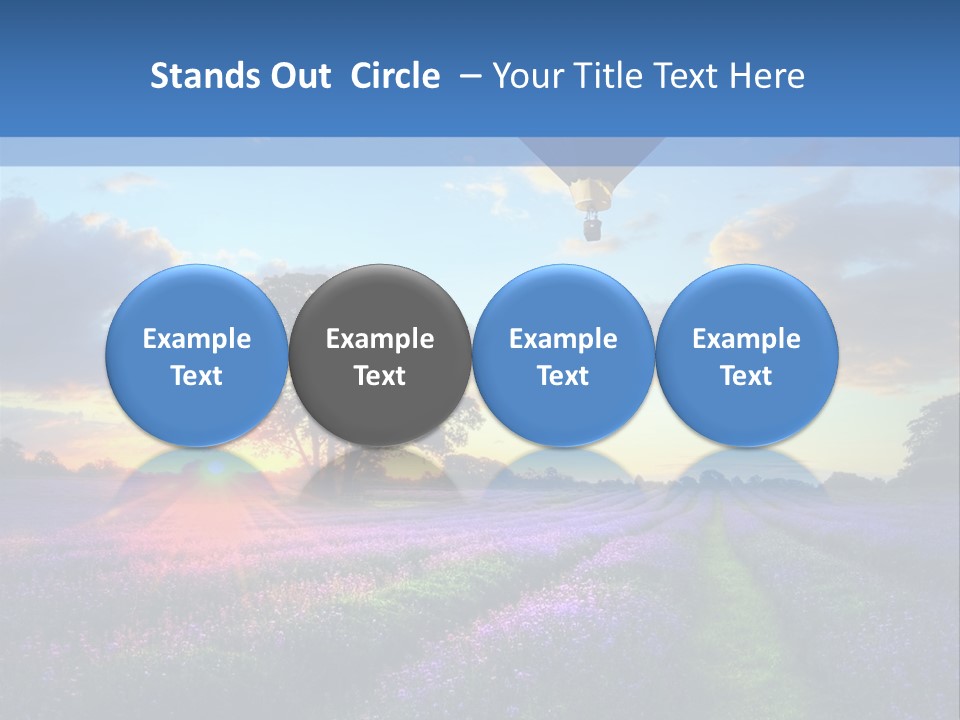 Beautiful Flying Evening PowerPoint Template