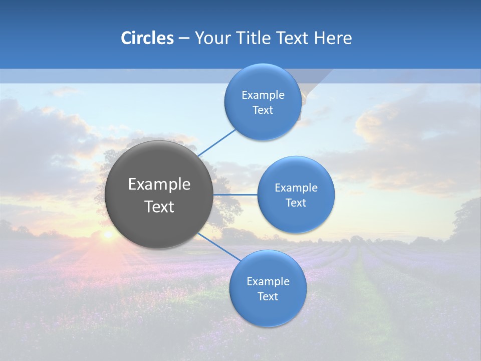 Beautiful Flying Evening PowerPoint Template