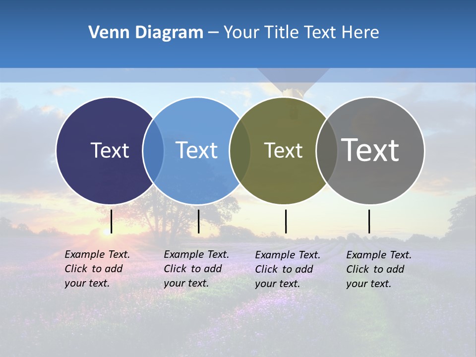Beautiful Flying Evening PowerPoint Template