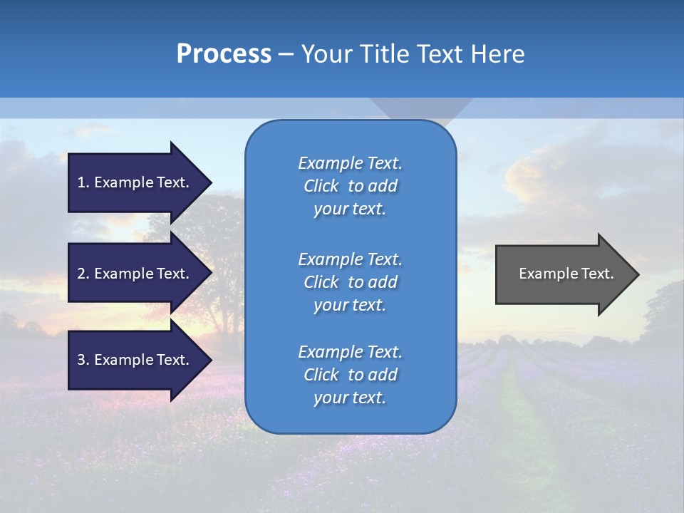 Beautiful Flying Evening PowerPoint Template