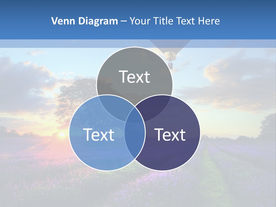 Beautiful Flying Evening PowerPoint Template