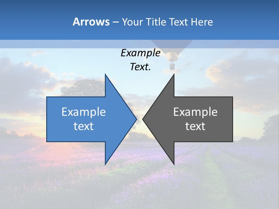 Beautiful Flying Evening PowerPoint Template
